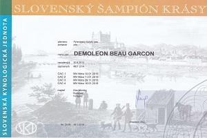 DemoLeon Beau Garcon ROGrCH