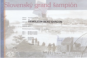 DemoLeon Beau Garcon SKCH