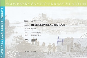 DemoLeon Beau Garcon ROCH