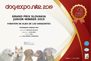 Foraton de Alba de los Danzantes European Junior Winner 2019 Confirmation