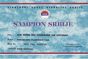 Ice King du Domaine de Peyrac SRBCH