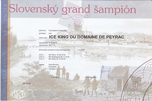 Ice King du Domaine de Peyrac MNEGrCH